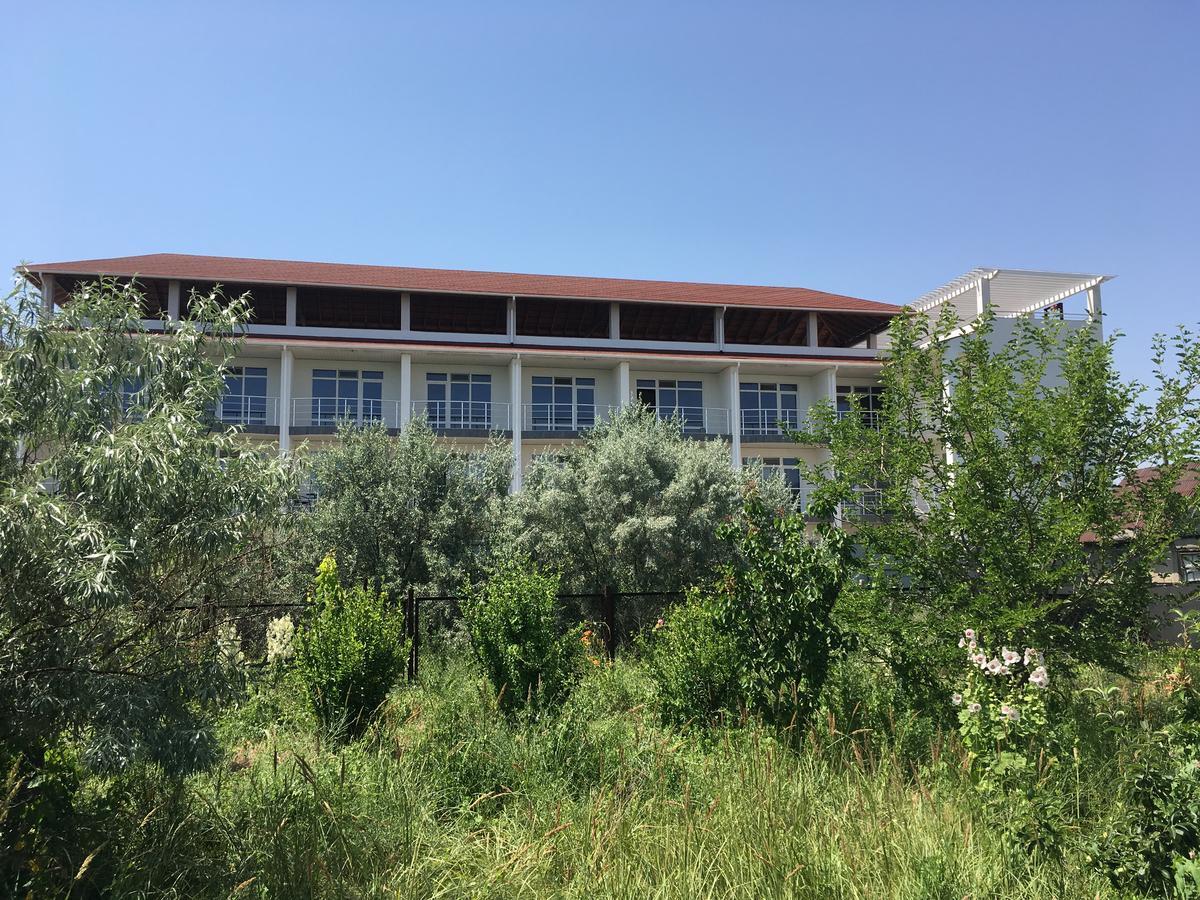Kauri Bed & Breakfast Затока Екстериор снимка